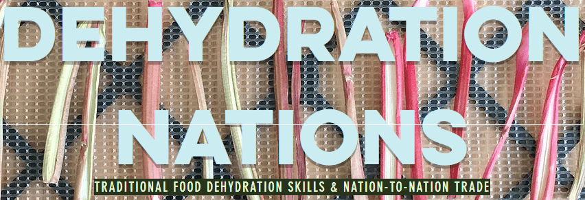Dehydration Nations Logo